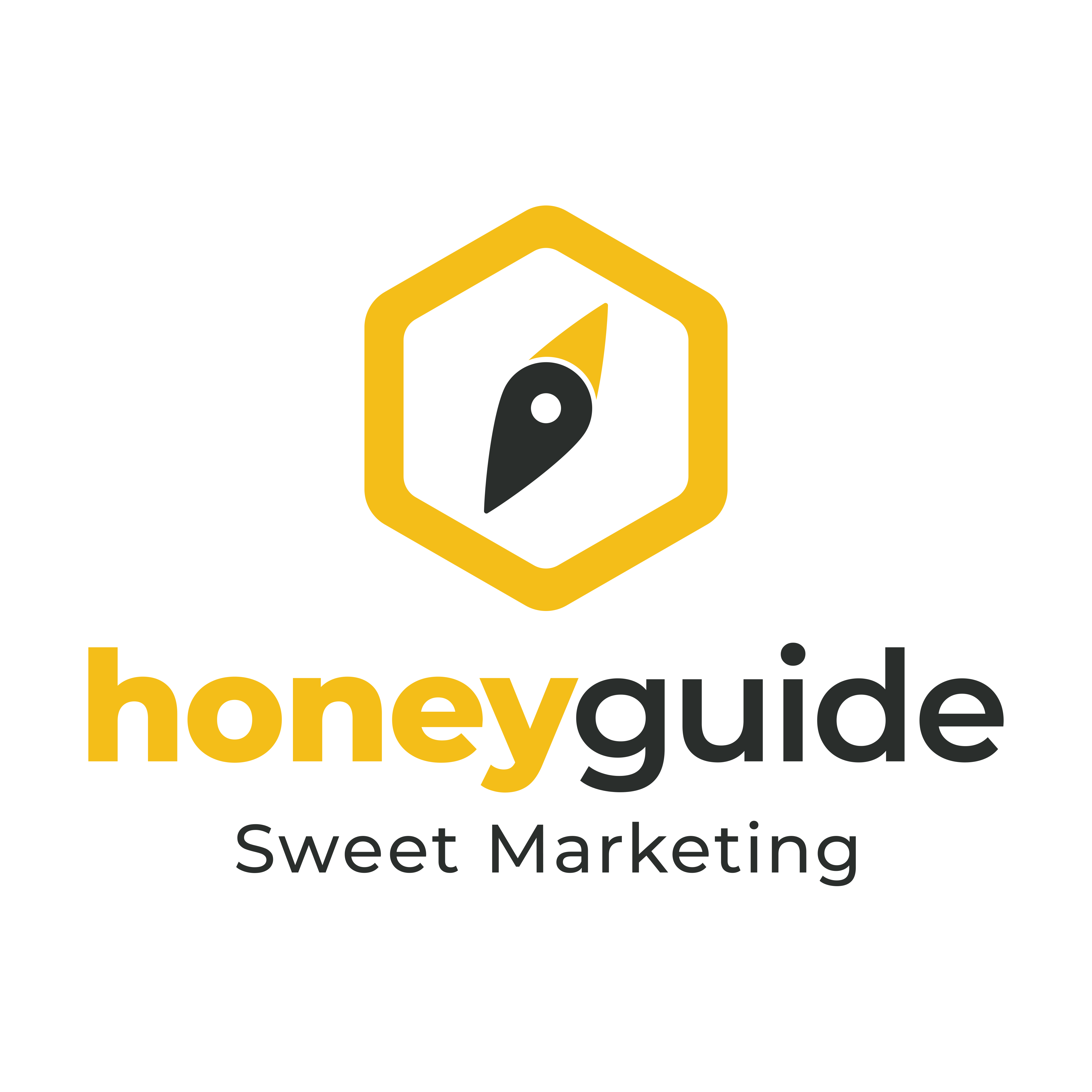 Honeyguide_Logo Variations-1
